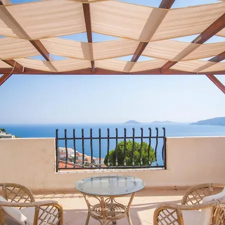 Palm View With Private And Infinity View Villa